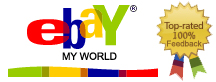 ebay world logo